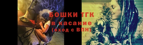сатива Алексеевка